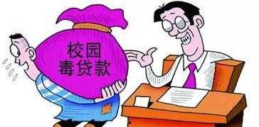 多数欠,揭示社会现象背后的深层原因