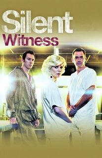 无声的证言 第二十六季,揭开尘封真相的悬疑之旅