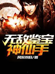 无敌鉴宝神眼,揭秘古董珍宝的神秘面纱