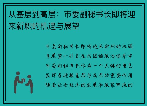 从基层到高层：市委副秘书长即将迎来新职的机遇与展望