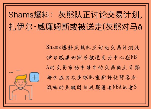 Shams爆料：灰熊队正讨论交易计划，扎伊尔·威廉姆斯或被送走(灰熊对马刺聚胜顽球汇)