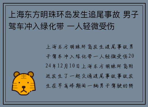 上海东方明珠环岛发生追尾事故 男子驾车冲入绿化带 一人轻微受伤