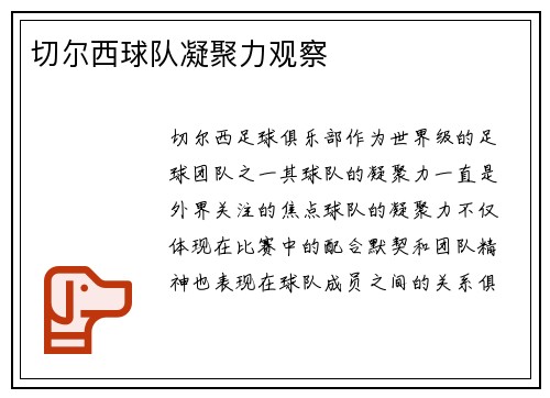 切尔西球队凝聚力观察